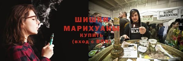 дмт Краснослободск