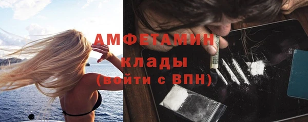дмт Краснослободск