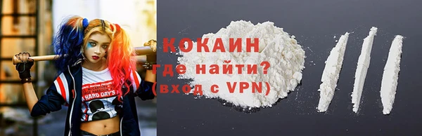 дмт Краснослободск