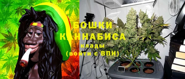 дмт Краснослободск