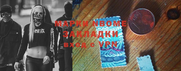дмт Краснослободск