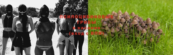 сатива Краснотурьинск