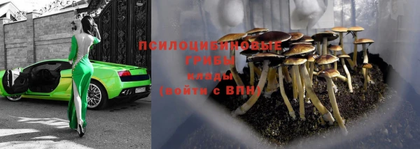 прущие крисы Красноперекопск