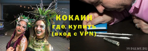 дмт Краснослободск