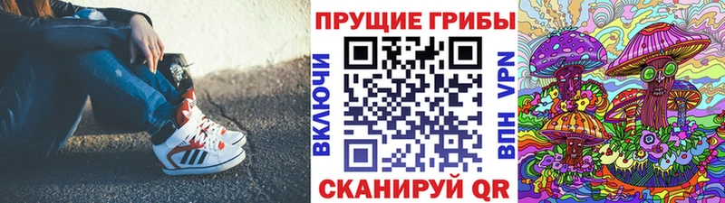 Купить закладки  Горнозаводск  Псилоцибиновые грибы GOLDEN TEACHER 